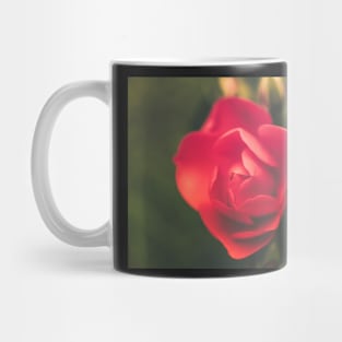 Romantic red rose Mug